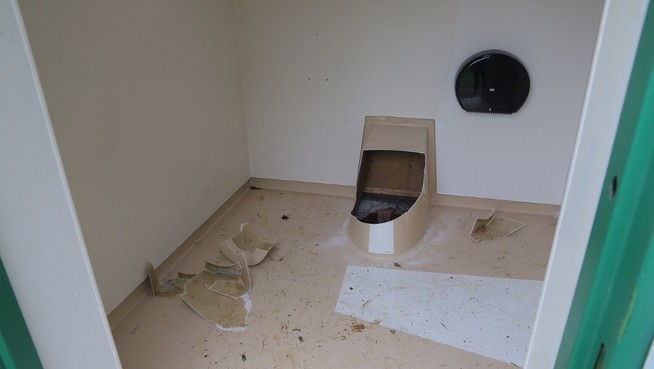 smartphone-roi-toilet