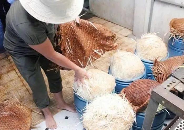 Nước kẹo là gì, có tác dụng thế nào mà lại được dùng trong 2.900 tấn giá đỗ?