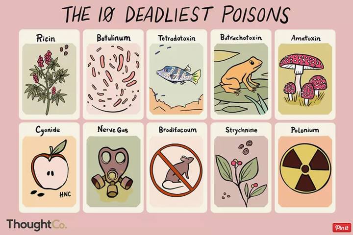 10 loại chất độc cực kỳ nguy hiểm với tính mạng con người