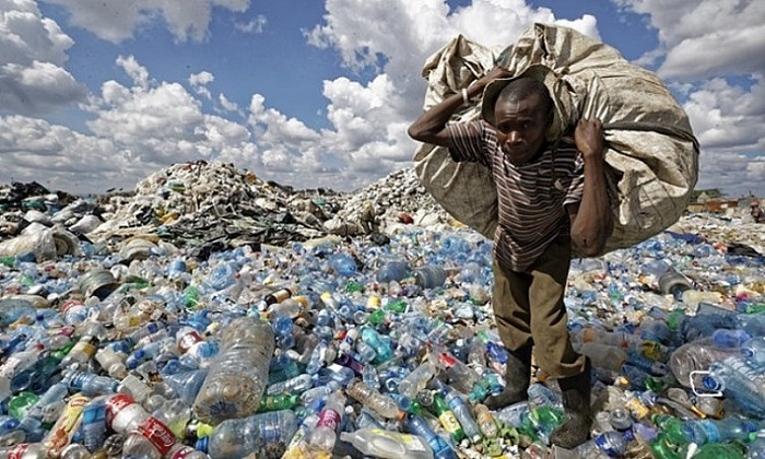  Nghiên cứu mới: Chuyển đổi rác thải nhựa thành hương vani tổng hợp