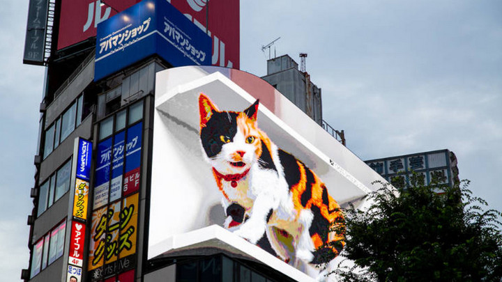  Quảng cáo mèo khổng lồ dưới dạng 3D gây sốt tại Nhật Bản