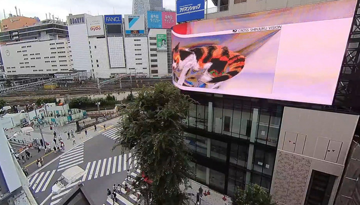  Quảng cáo mèo khổng lồ dưới dạng 3D gây sốt tại Nhật Bản